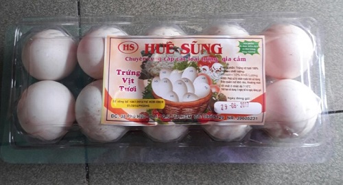 Trứng vịt tươi đóng hộp